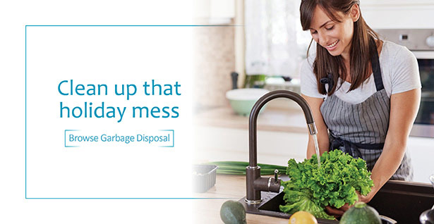 Clean up that holiday mess - Browse Garbage Disposals