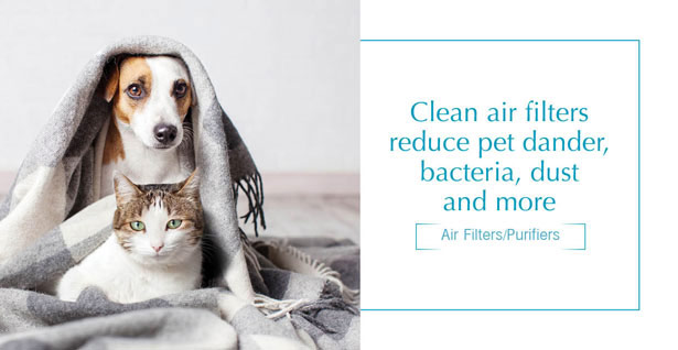Clean air filters reduce pet dander, bacteria, dust and more - Shop Air Filters / Purifiers